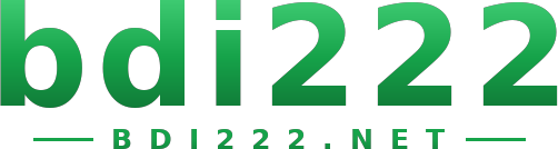 bdi222 logo